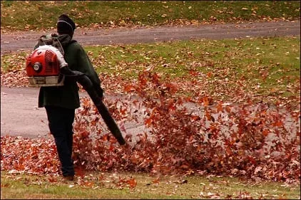 How can I tell if my leaf blower is too loud