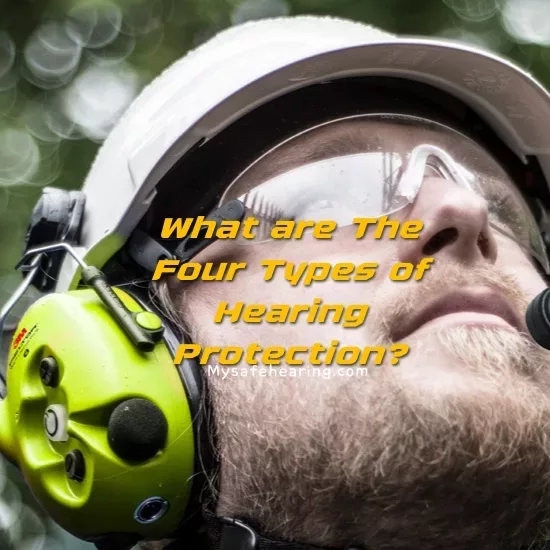 What are The Four Types of Hearing Protection